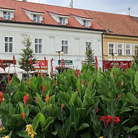 Kral Jiri 3* Poděbrady