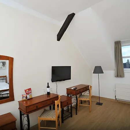 Kral Jiri Πανσιόν Poděbrady